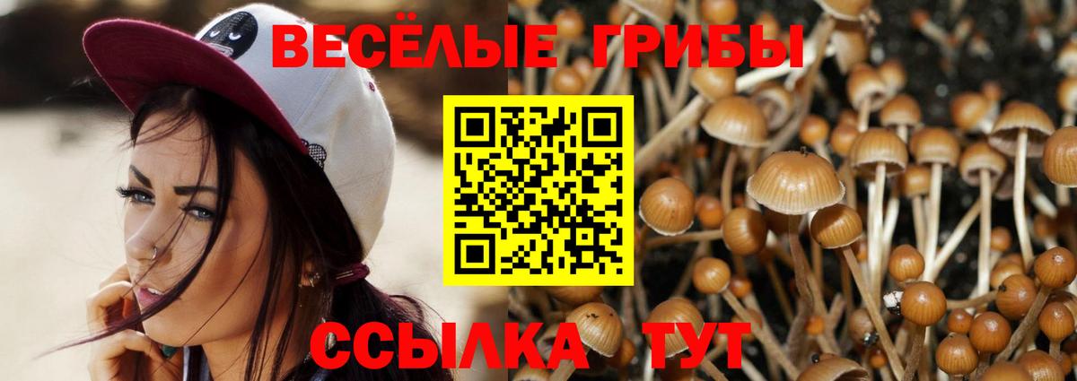 Псилоцибиновые грибы Magic Shrooms  Вход с VPN  Дивногорск 