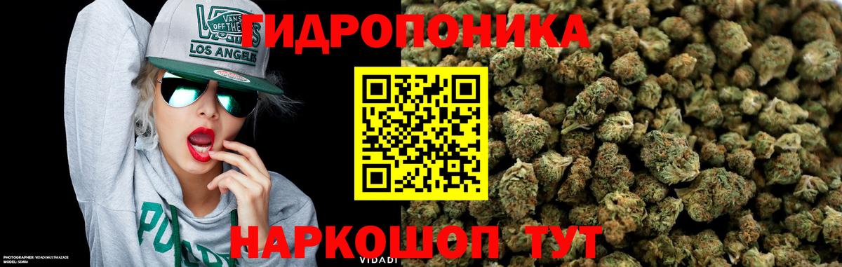 Каннабис план  Конопля OG Kush  Канабис White Widow  Дивногорск  Вход с VPN 